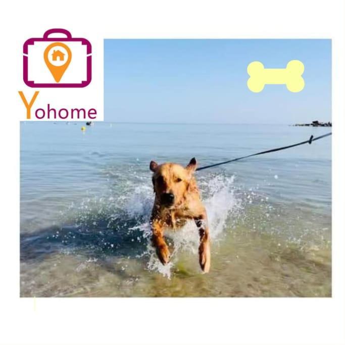 Casale Passalacqua Pesaro By Yohome La Torraccia Eksteriør billede