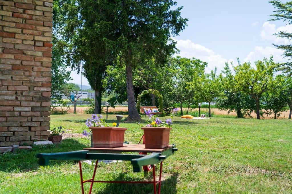 Casale Passalacqua Pesaro By Yohome La Torraccia Eksteriør billede